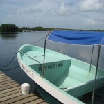 The hokey pokey water taxi