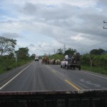 On the road to Porto Barrios